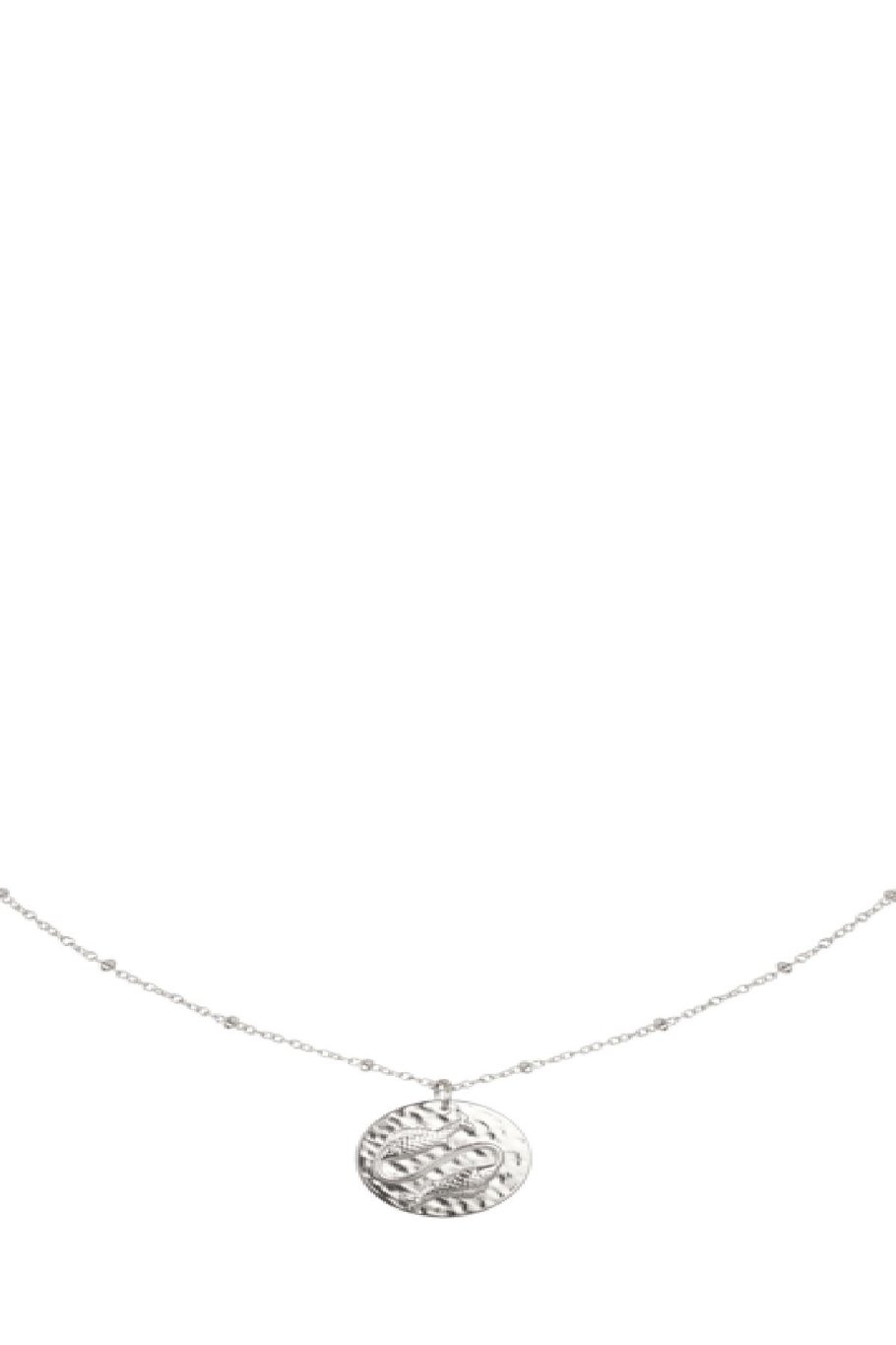Ketting Constellation - Vissen Zilver Stainless Steel Afbeelding2